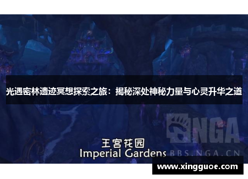 光遇密林遗迹冥想探索之旅：揭秘深处神秘力量与心灵升华之道