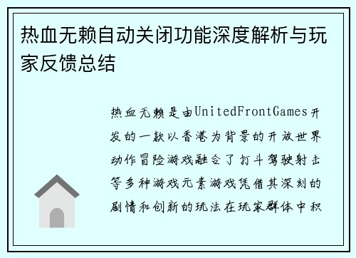 热血无赖自动关闭功能深度解析与玩家反馈总结